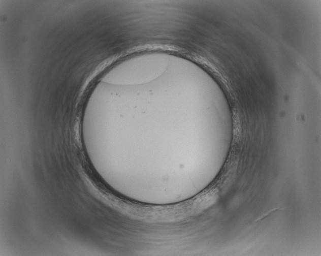 X0000068840016200605050955