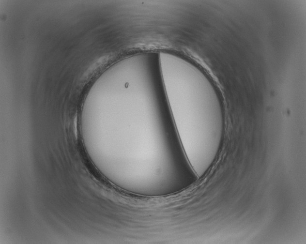 X0000068840019200605050955