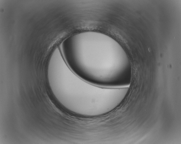 X0000068840020200605050955