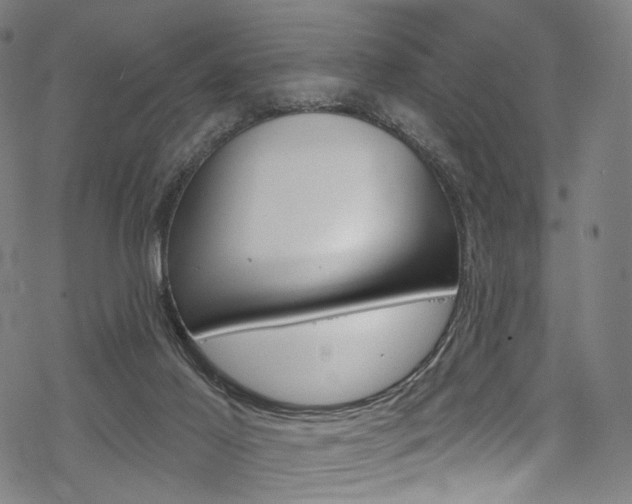 X0000068840021200605050955