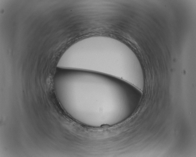 X0000068840029200605050955