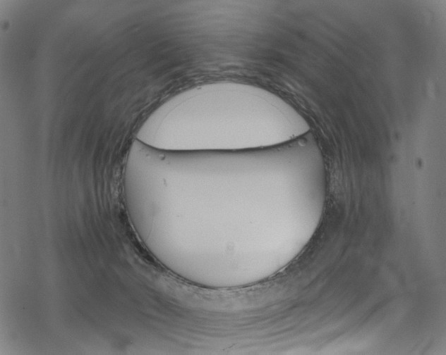 X0000068840030200605050955