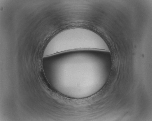 X0000068840031200605050955