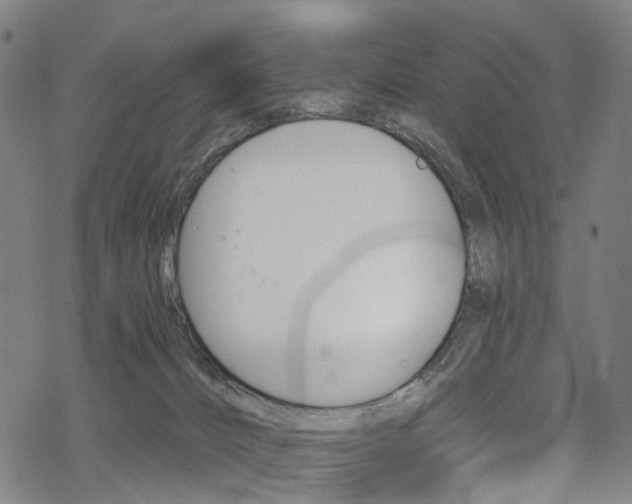 X0000068840032200605050955