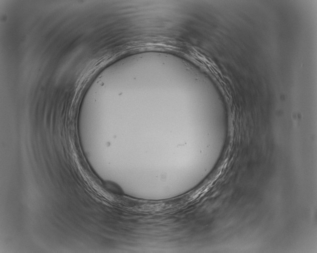 X0000068840049200605050954