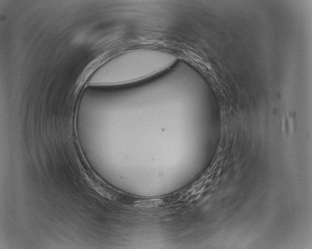 X0000068840051200605050954