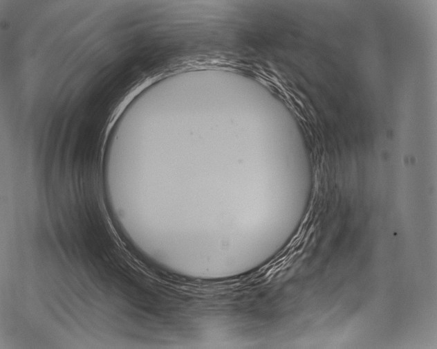 X0000068840052200605050954