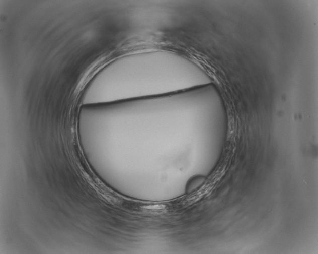 X0000068840053200605050954