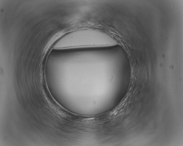 X0000068840054200605050954