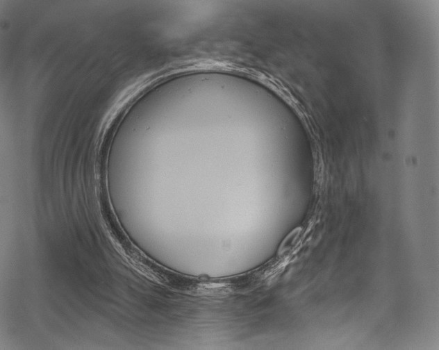 X0000068840055200605050954