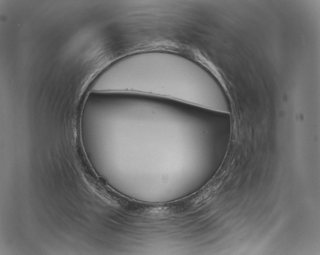 X0000068840059200605050954