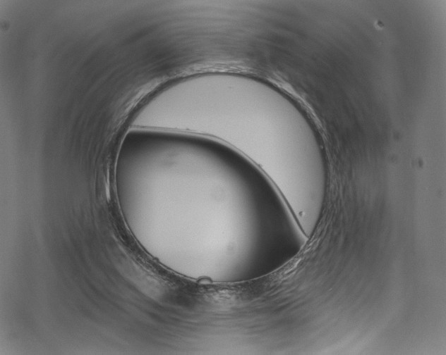 X0000068840062200605050954