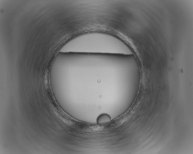 X0000068840065200605050954