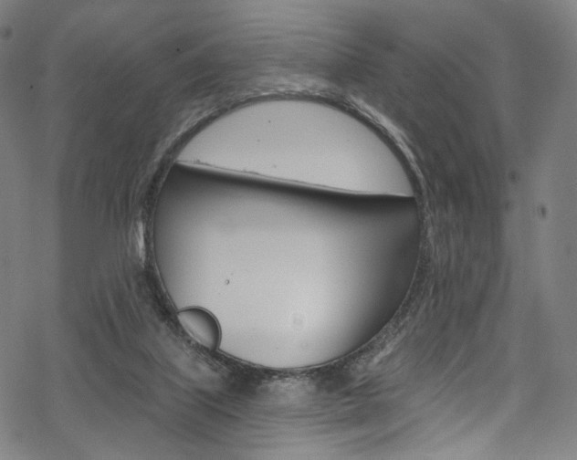 X0000068840067200605050954