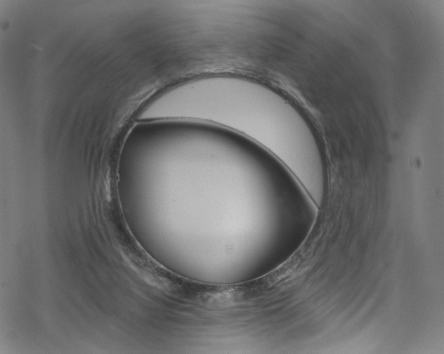 X0000068840068200605050954