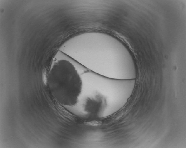 X0000068840069200605050954