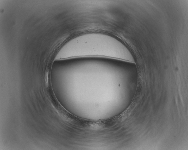 X0000068840070200605050954