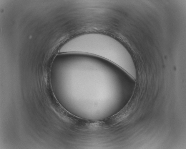 X0000068840072200605050954