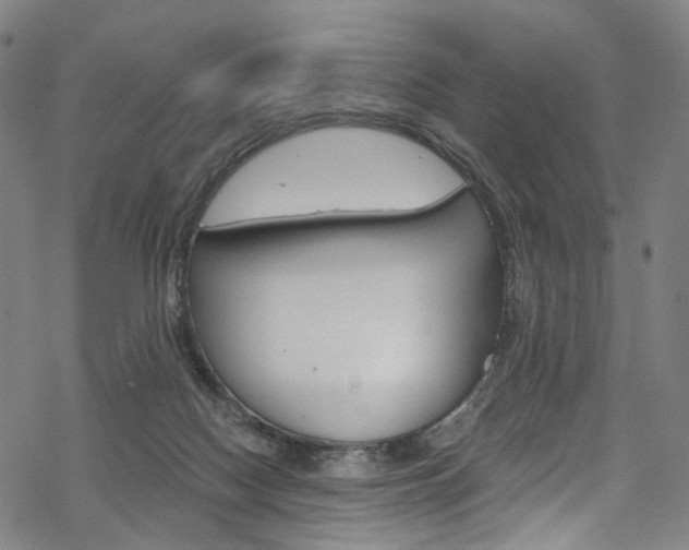 X0000068840074200605050954