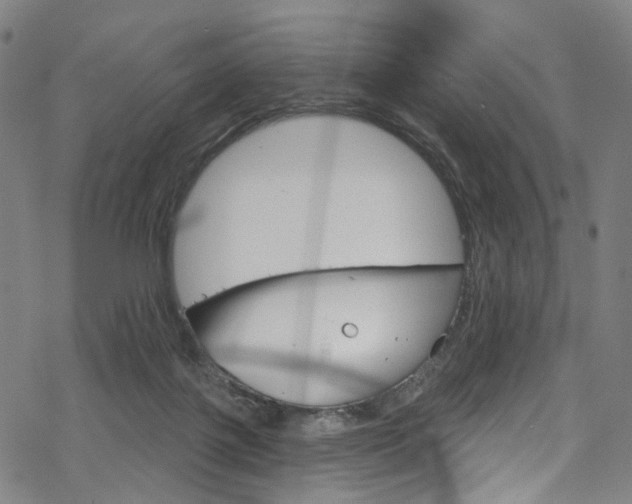 X0000068840075200605050954