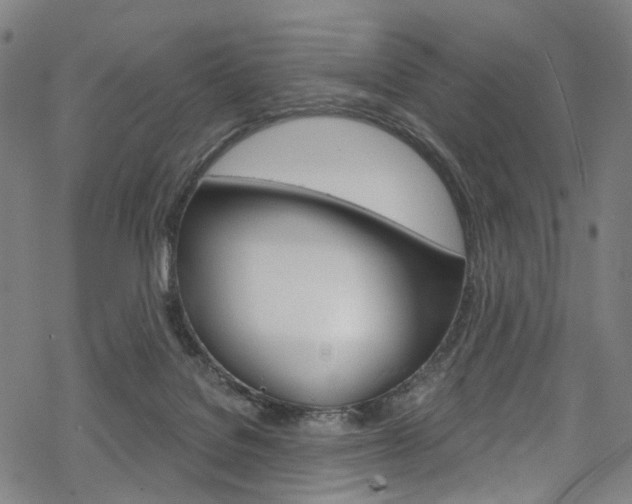 X0000068840076200605050954