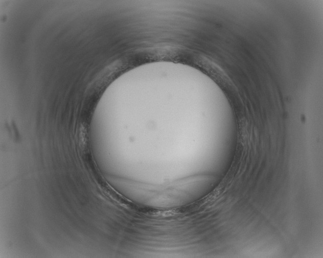 X0000068840077200605050954