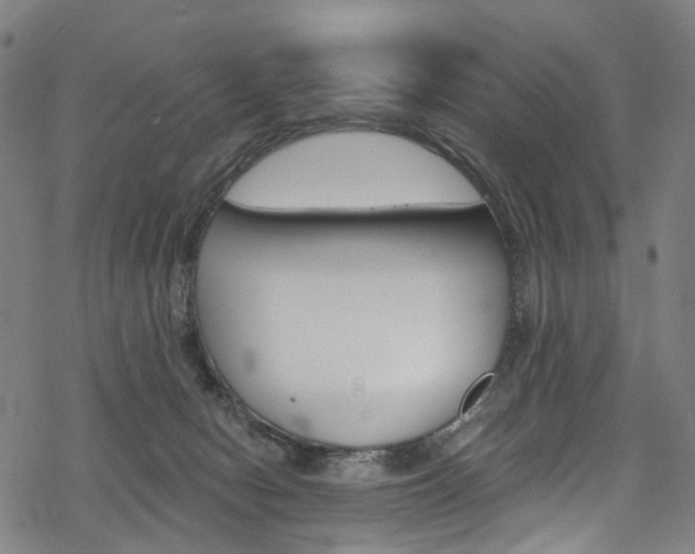 X0000068840078200605050954