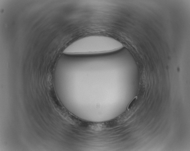 X0000068840079200605050954