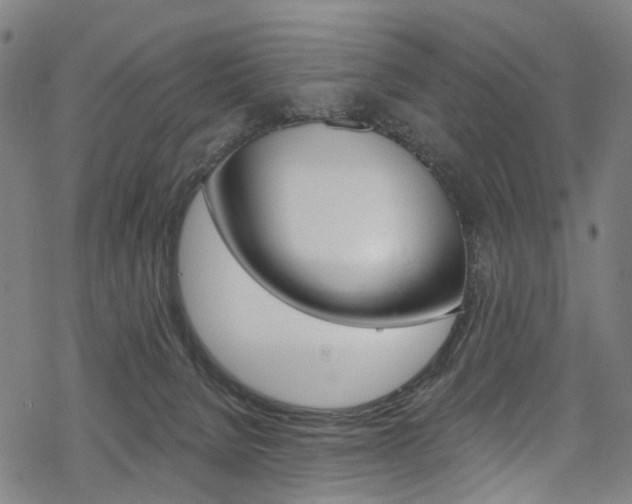 X0000068840080200605050954