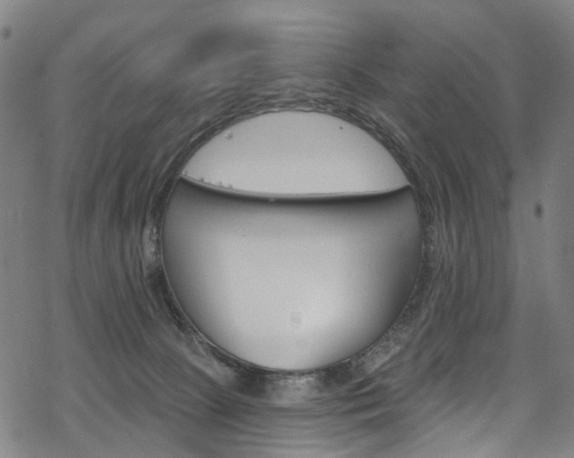 X0000068840081200605050954