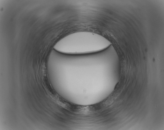 X0000068840083200605050954