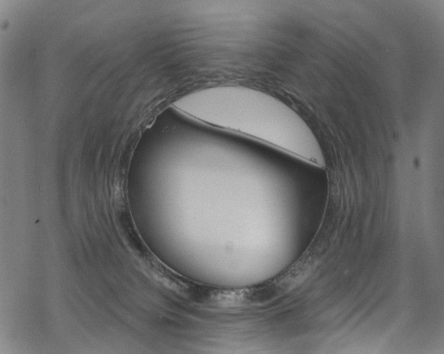 X0000068840084200605050954