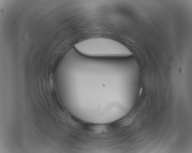 X0000068840085200605050954