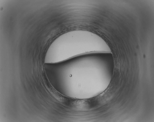 X0000068840086200605050954