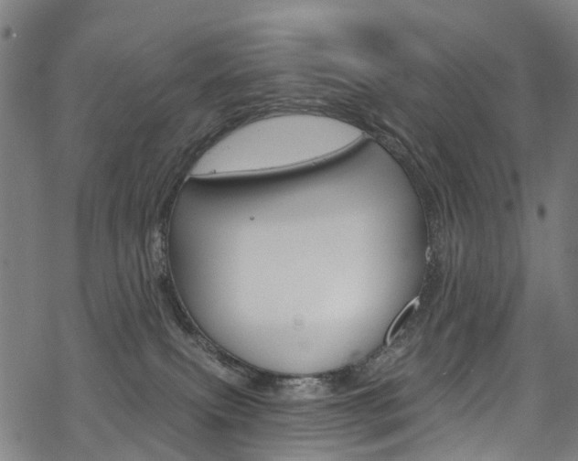 X0000068840087200605050954