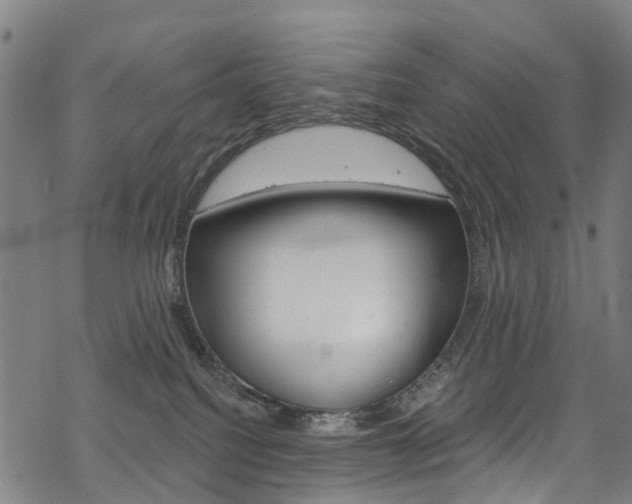 X0000068840088200605050954