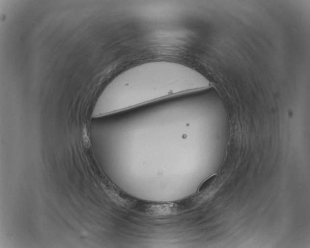 X0000068840089200605050954