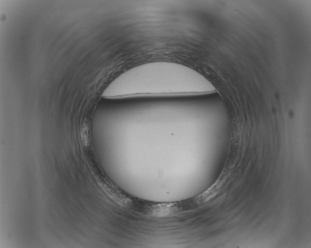 X0000068840090200605050954