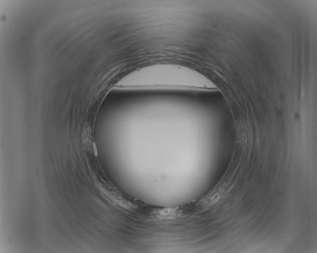 X0000068840092200605050954