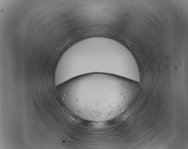 X0000068840093200605050954