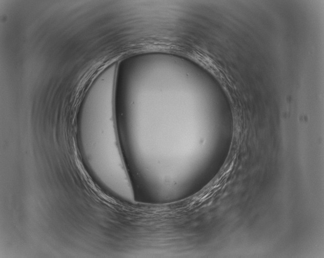 X0000068840097200605050954