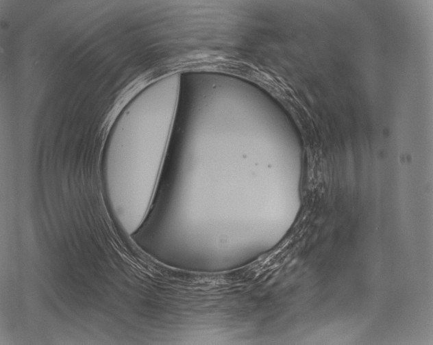 X0000068840099200605050954