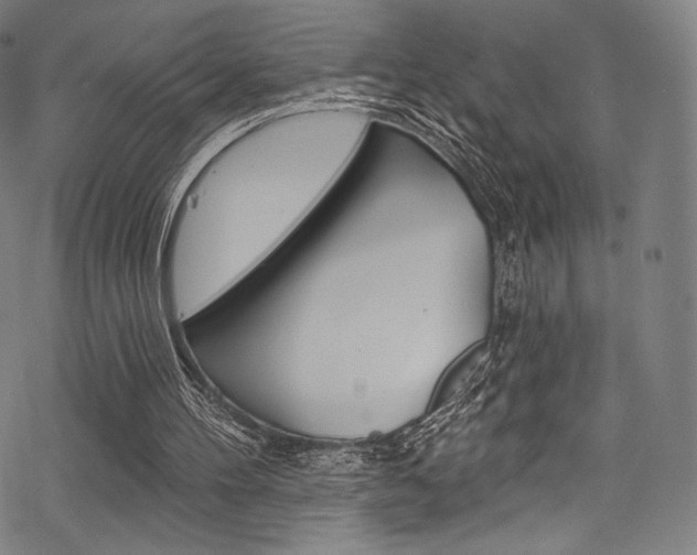 X0000068840100200605050954