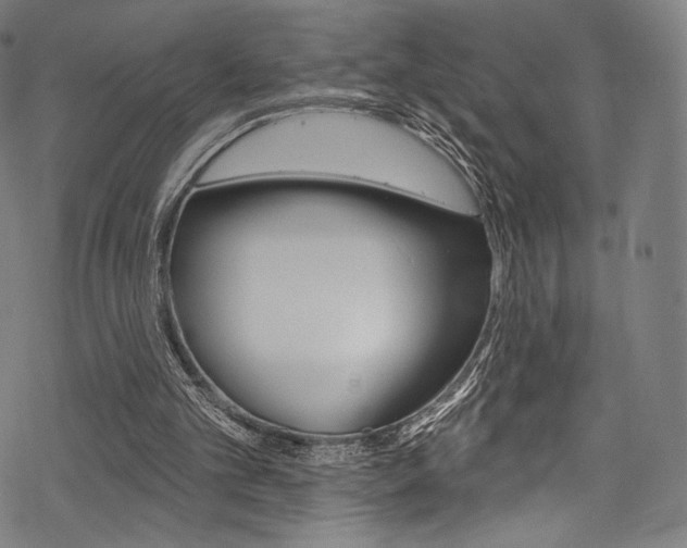 X0000068840101200605050954