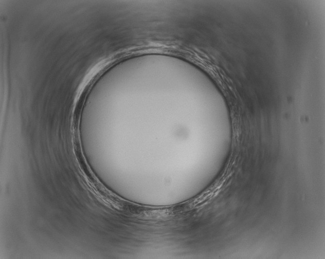 X0000068840102200605050954