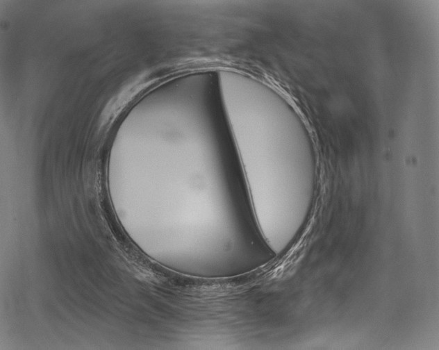 X0000068840103200605050954