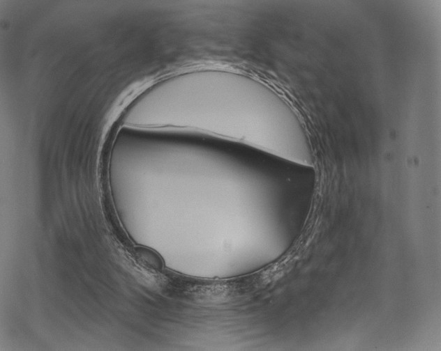 X0000068840104200605050954