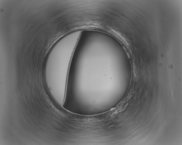 X0000068840105200605050954