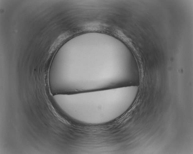 X0000068840106200605050954