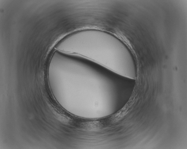 X0000068840108200605050953